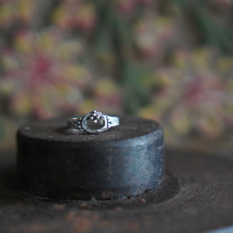 Silver Ring 