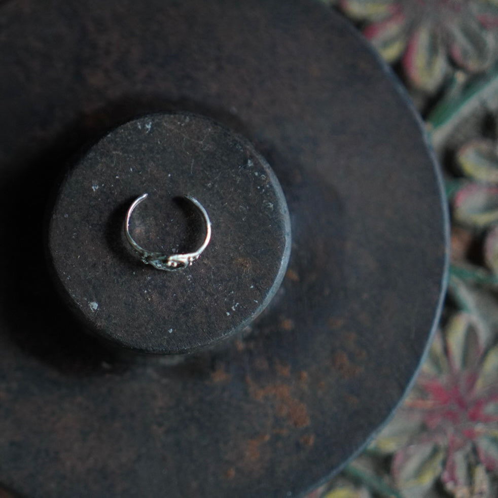 パドゥカ　インド　シルバー 18cm Amazon.co.jp: パーセッタンタドゥエ(PAR72) スパイクレスゴルフ