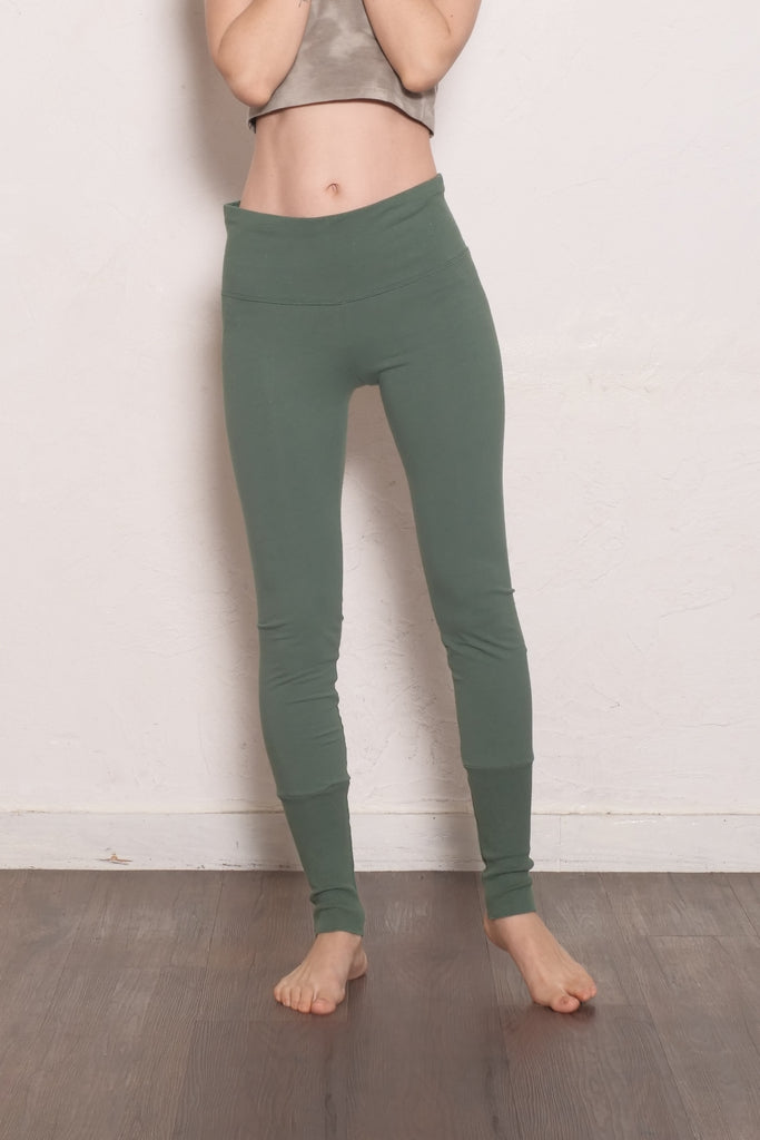 color_モリンガ / Moringa