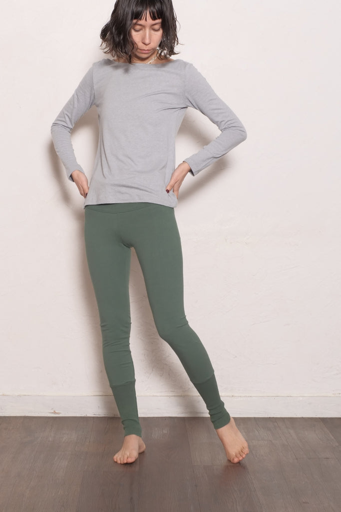 color_モリンガ / Moringa